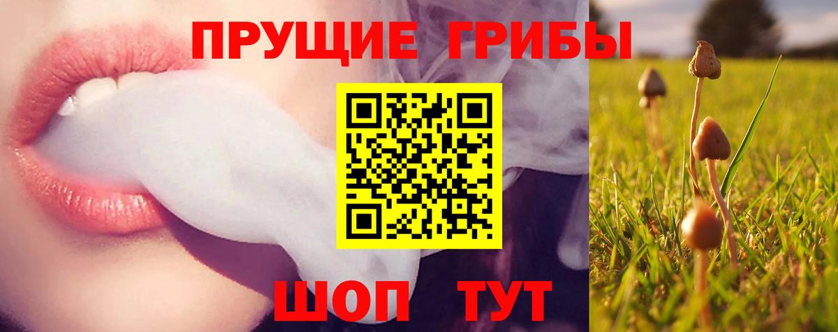 Псилоцибиновые грибы Psilocybe  Вход с VPN  Ярцево  купить   Псилоцибиновые грибы Cubensis 